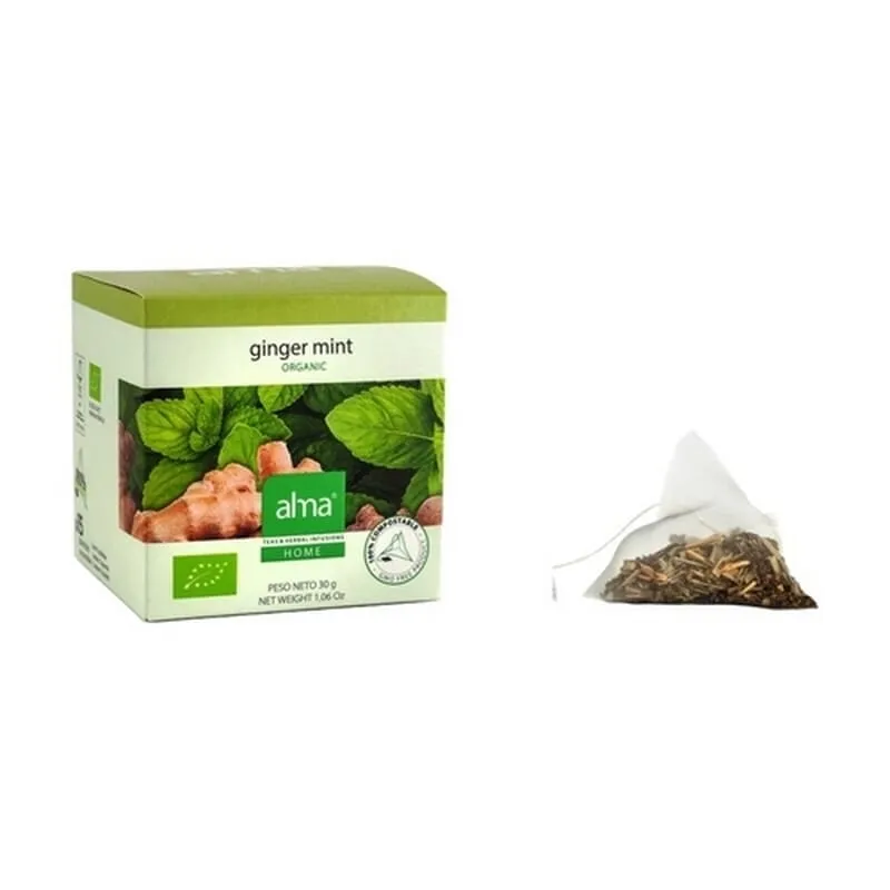 ALMA HOME TÉ VERDE GINGER ANTIOX ECO 30g