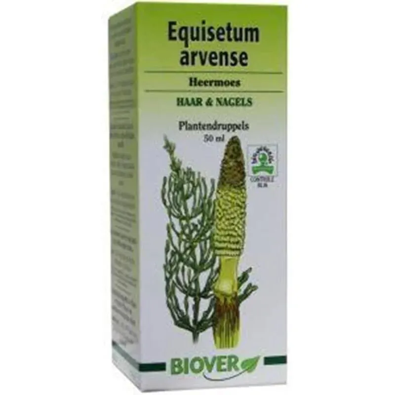 Equisetum Arvense Cola De Caballo 50 ml