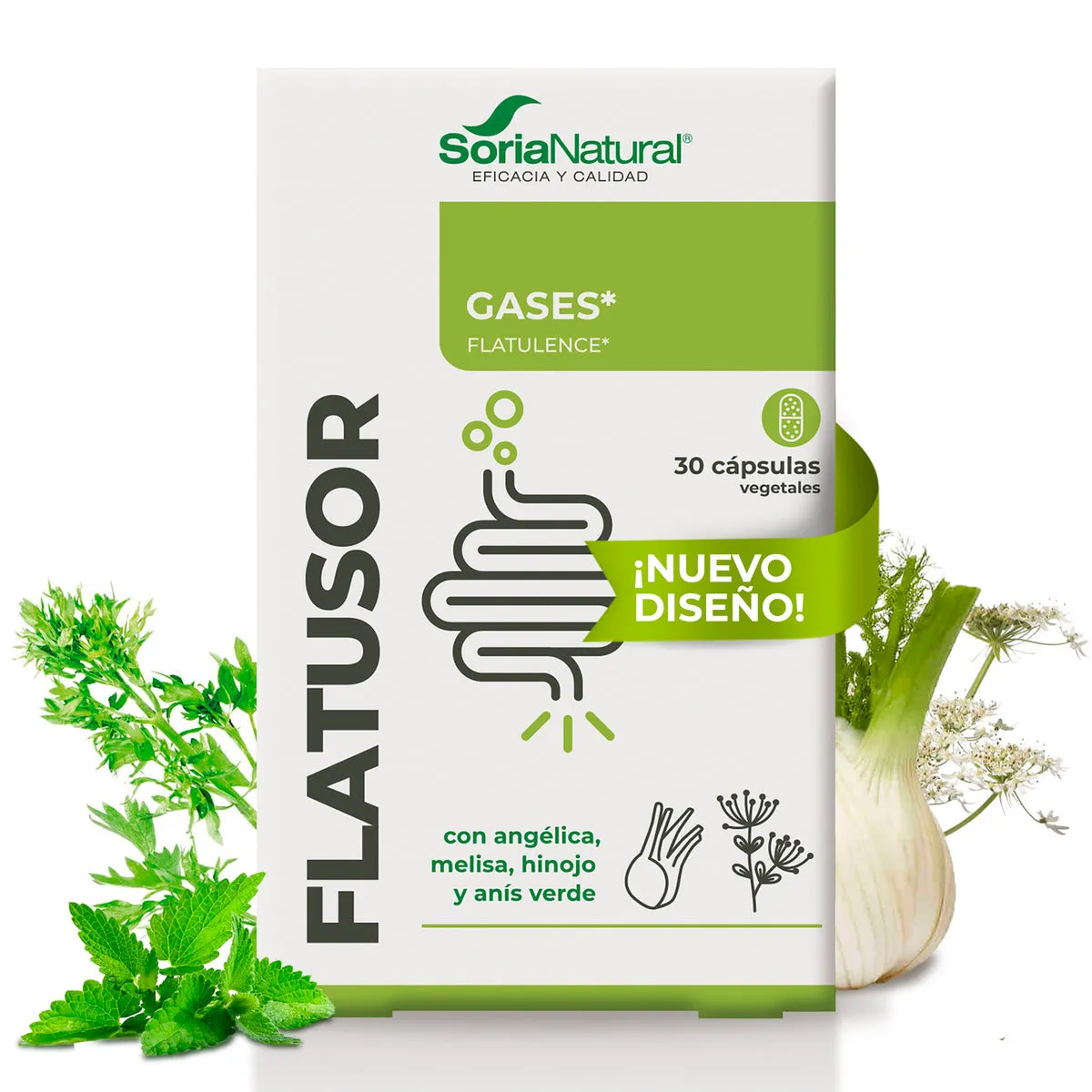 17C Flatusor 30 cápsulas Soria Natural