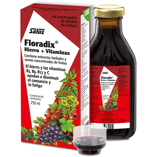 Floradix Jarabe 250ml Salus
