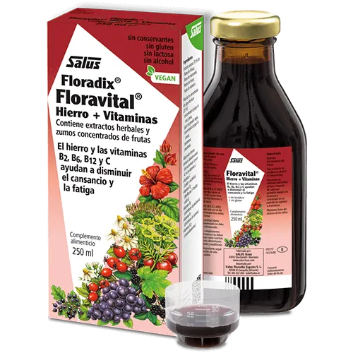 Floradix-Floravital 250 ml Salus