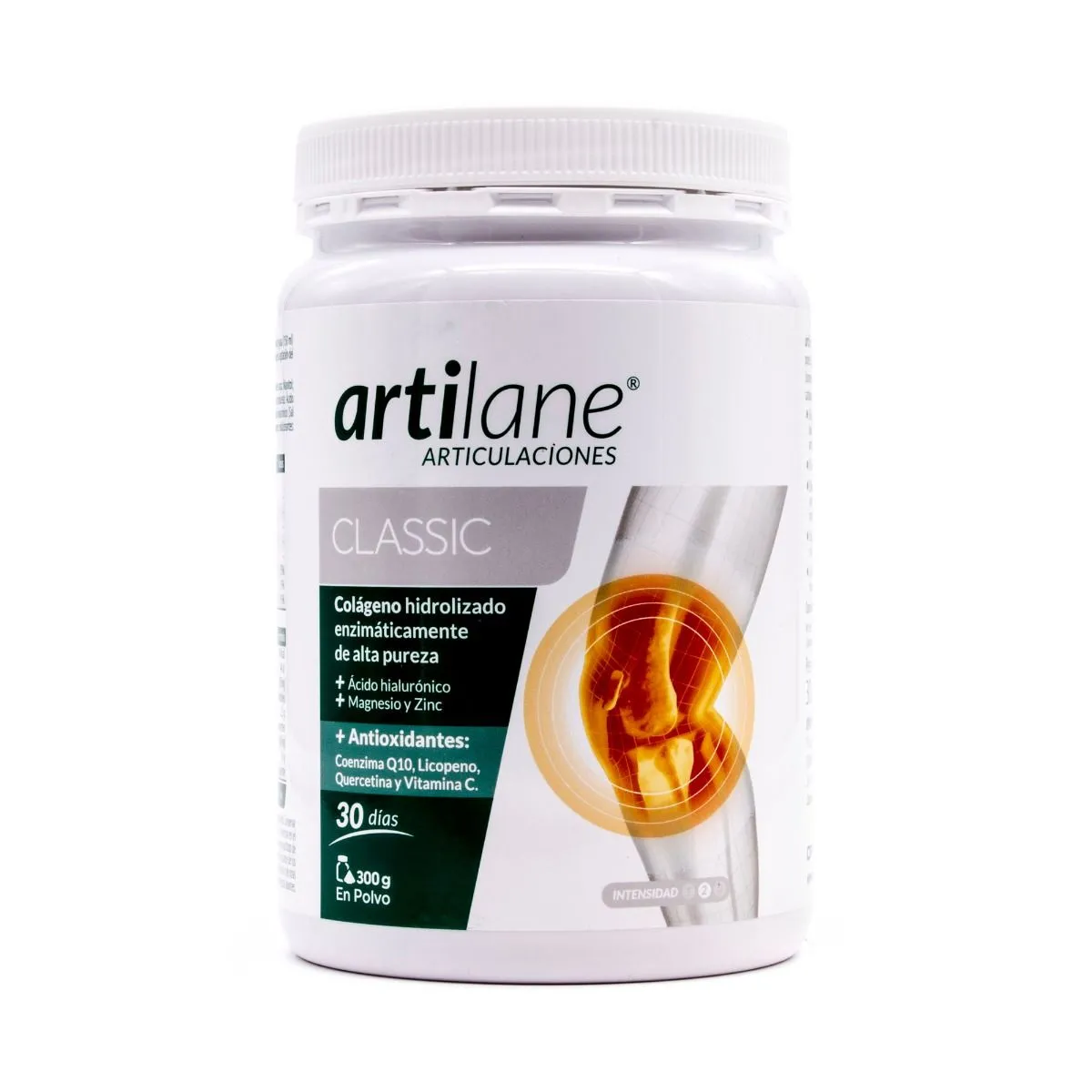 ARTILANE CLASSIC POLVO 300 GR - OPKO