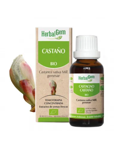 CASTAÑO macerado glicerinado 50ml.