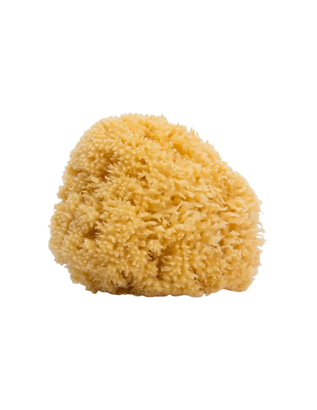 SUAVINEX Esponja Natural Grande