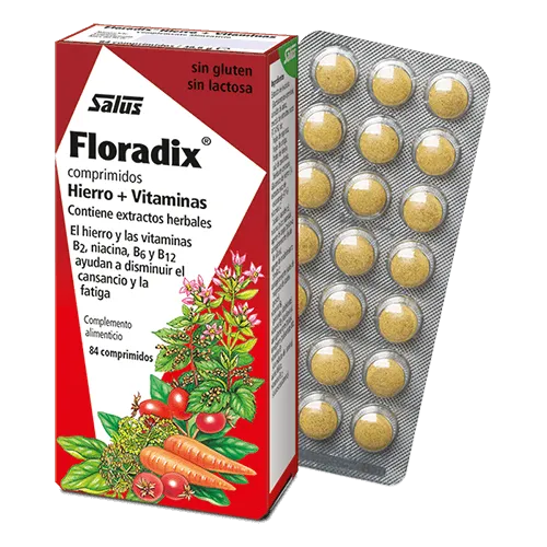 Floradix 84 comp Salus