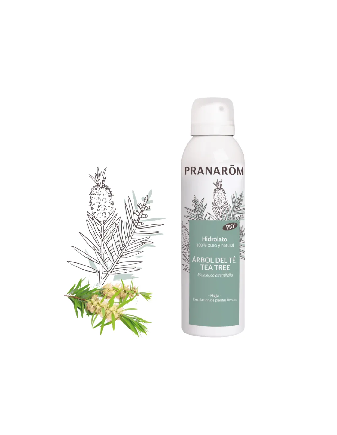 PRANAROM Hidrolato Árbol del Té 150 ml