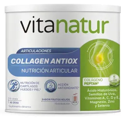 Vitanatur Collagen Antiox 180g 15 Dias