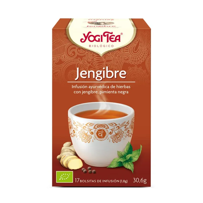 JENGIBRE BIO 17 Infusiones